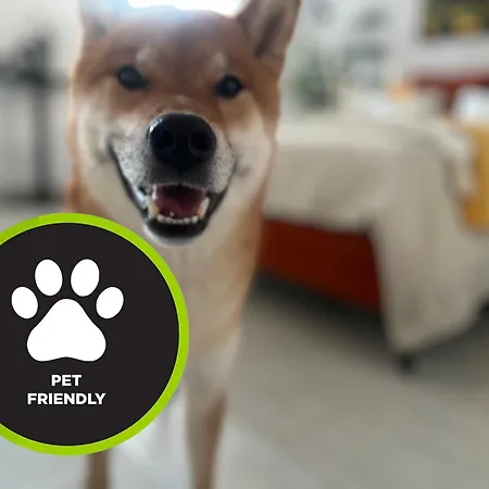 Lejlighed I Piotrkowska Z Wielkim Lustrem, Balkonem I Klimatyzacja Łódź