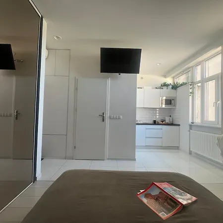 I Piotrkowska Z Wielkim Lustrem, Balkonem I Klimatyzacją Apartament Łódź