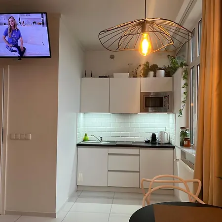 I Piotrkowska Z Wielkim Lustrem, Balkonem I Klimatyzacja * Łódź