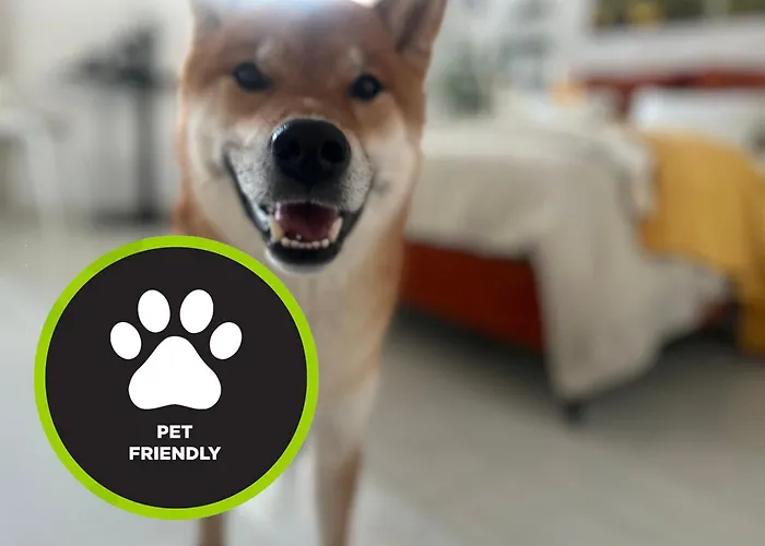 Lejlighed I Piotrkowska Z Wielkim Lustrem, Balkonem I Klimatyzacja Łódź