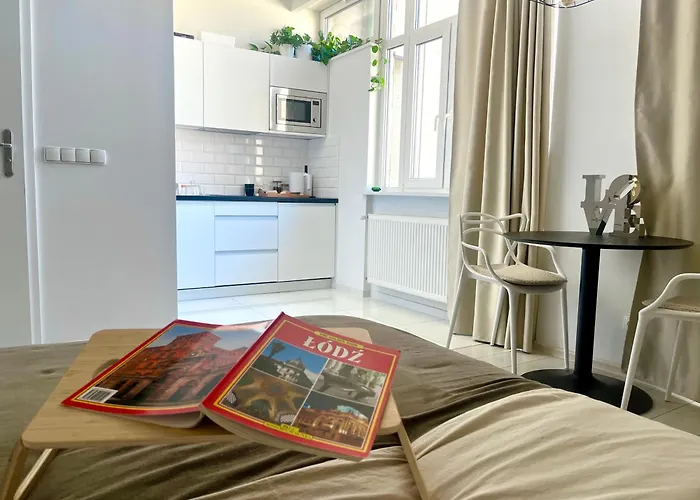 Lejlighed I Piotrkowska Z Wielkim Lustrem, Balkonem I Klimatyzacja