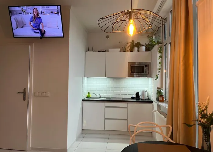 I Piotrkowska Z Wielkim Lustrem, Balkonem I Klimatyzacja * 우치